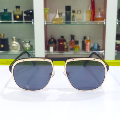 Carteir Sun Glasses